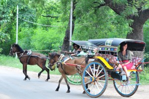Eine Pferdestärke: Per Kutsche erkunden diese Touristen das Tempel-Tal Bagan.  Foto: Lindekamp